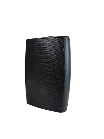 Speaker 100V NSP NY-313-Black