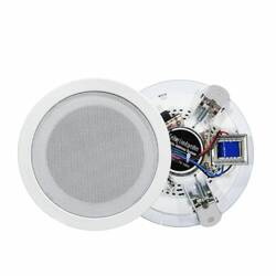 Speaker 100V NSP NS-303