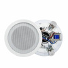 Speaker 100V NSP NS-303
