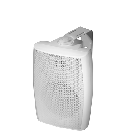 Speaker 100V NSP NY-311-White
