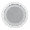 Speaker 100V NSP NS-303