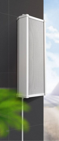 Speaker 100V NSP NQ-320