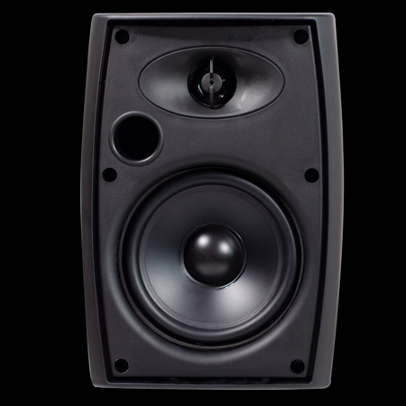 Speaker 100V NSP NY-313-Black