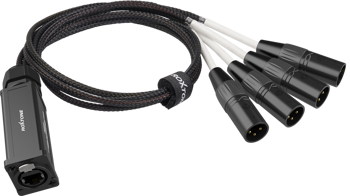 Snake Splitter RJ45 Buchse auf 4x XLR 3-Pin Stecker Roxtone PS4M