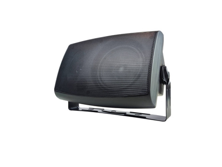 Speaker 100V NSP NY-311-Black