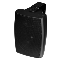 Speaker 100V NSP NY-313-Black