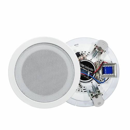 Speaker 100V NSP NS-303